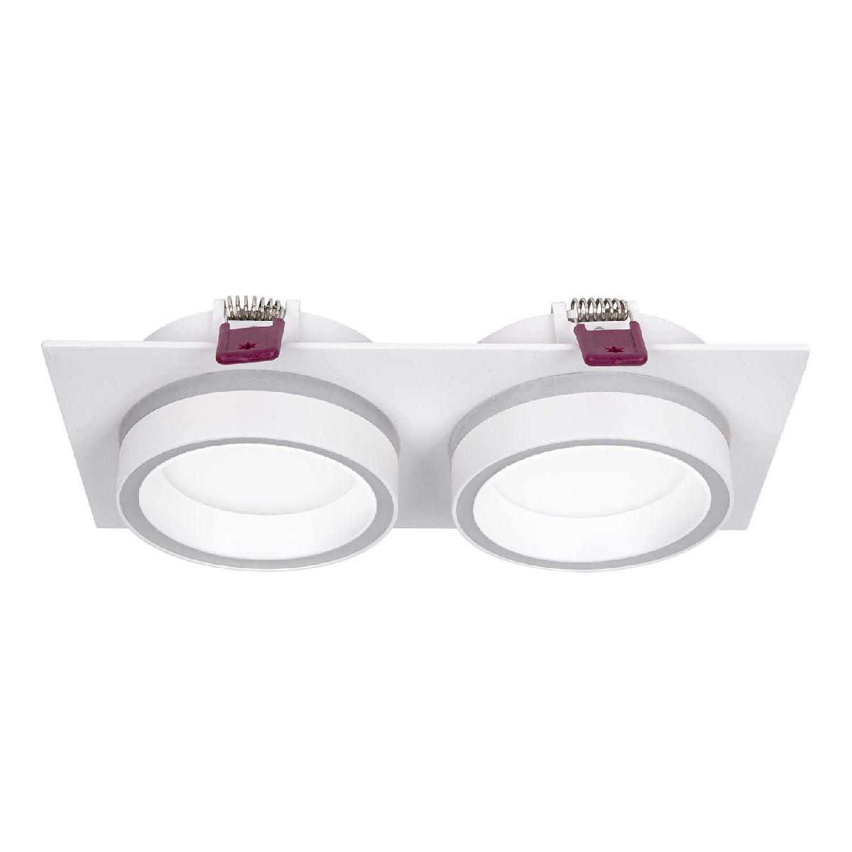 Встраиваемый светильник Favourite 4650-2C