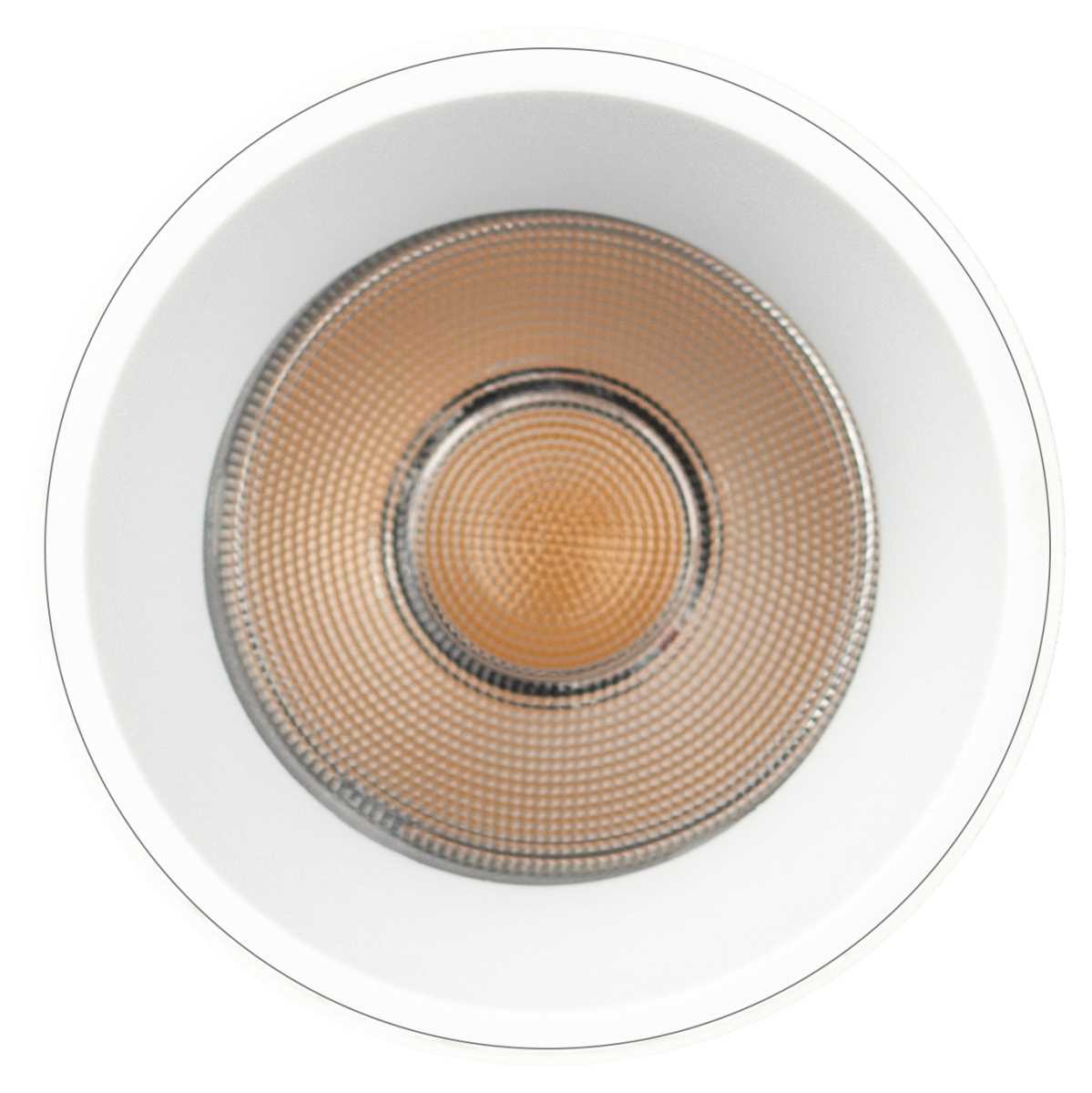 Магнитный трековый светильник ЭРА TRM-S5-3-8W4K WH Б0059045