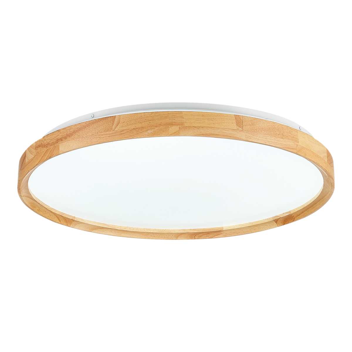 Потолочный сетодиодный светильник Evoluce Delia SLE201382-01