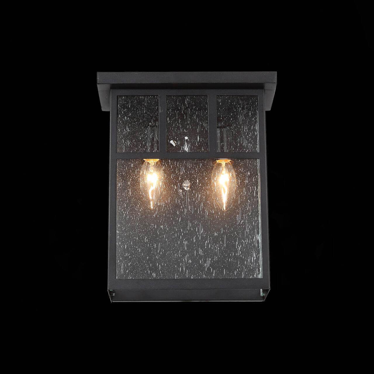 Уличный настенный светильник ST Luce Glazgo SL079.401.02