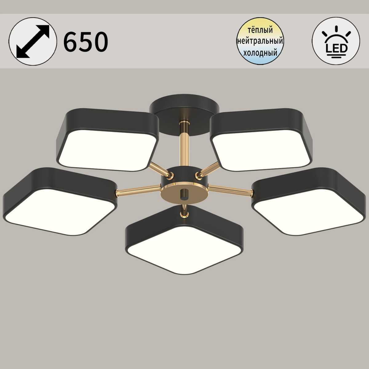 Светильник потолочный Reluce 03360-0.3-05 BK+FGD