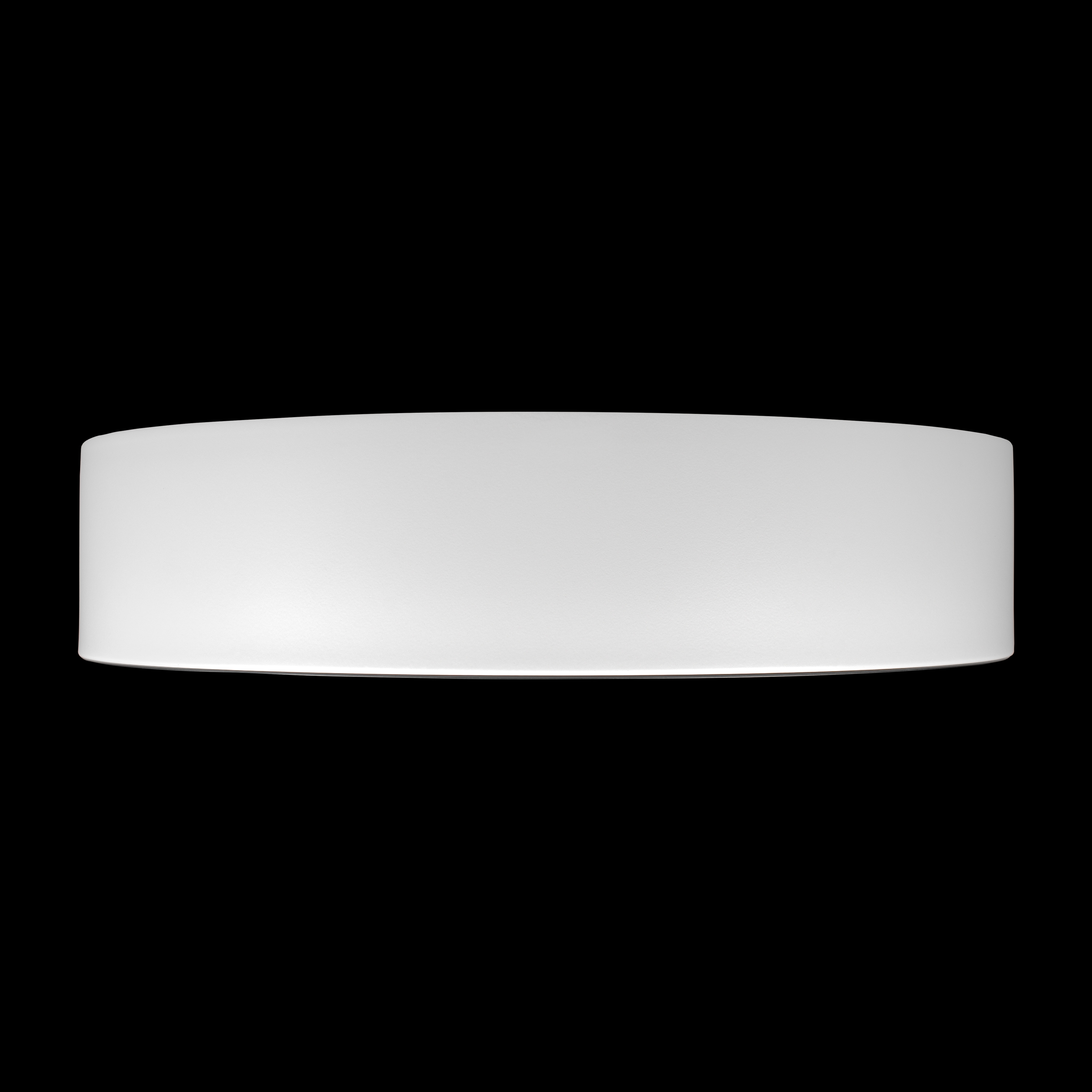 Потолочный светильник Loft it Coin 10202 WB