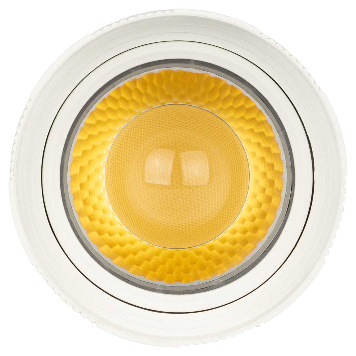 Трековый светильник однофазный ЭРА TR59-2030 WH Б0054441