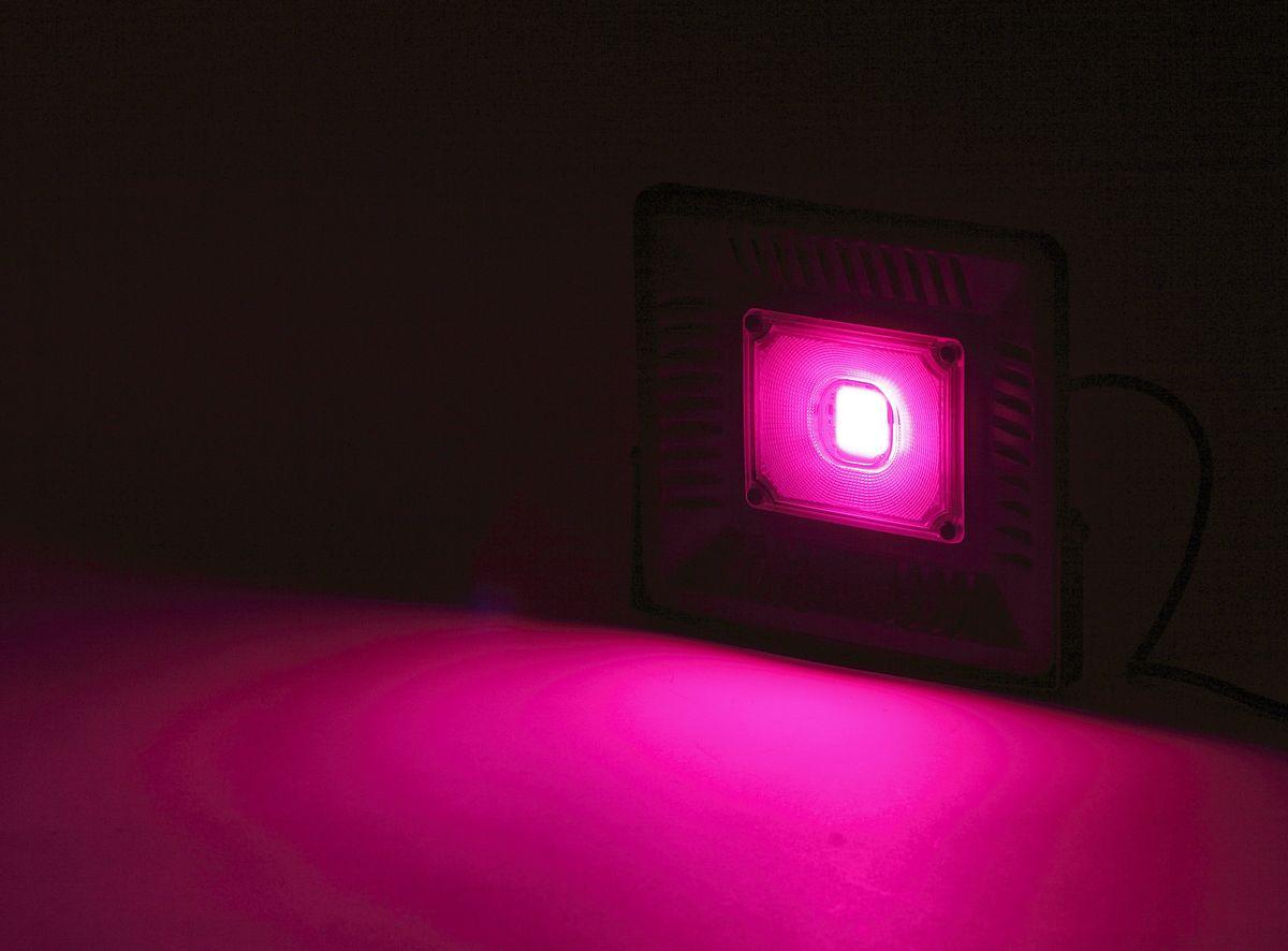 Прожектор светодиодный ЭРА 50W 1370K Fito-50W-Led Б0039033