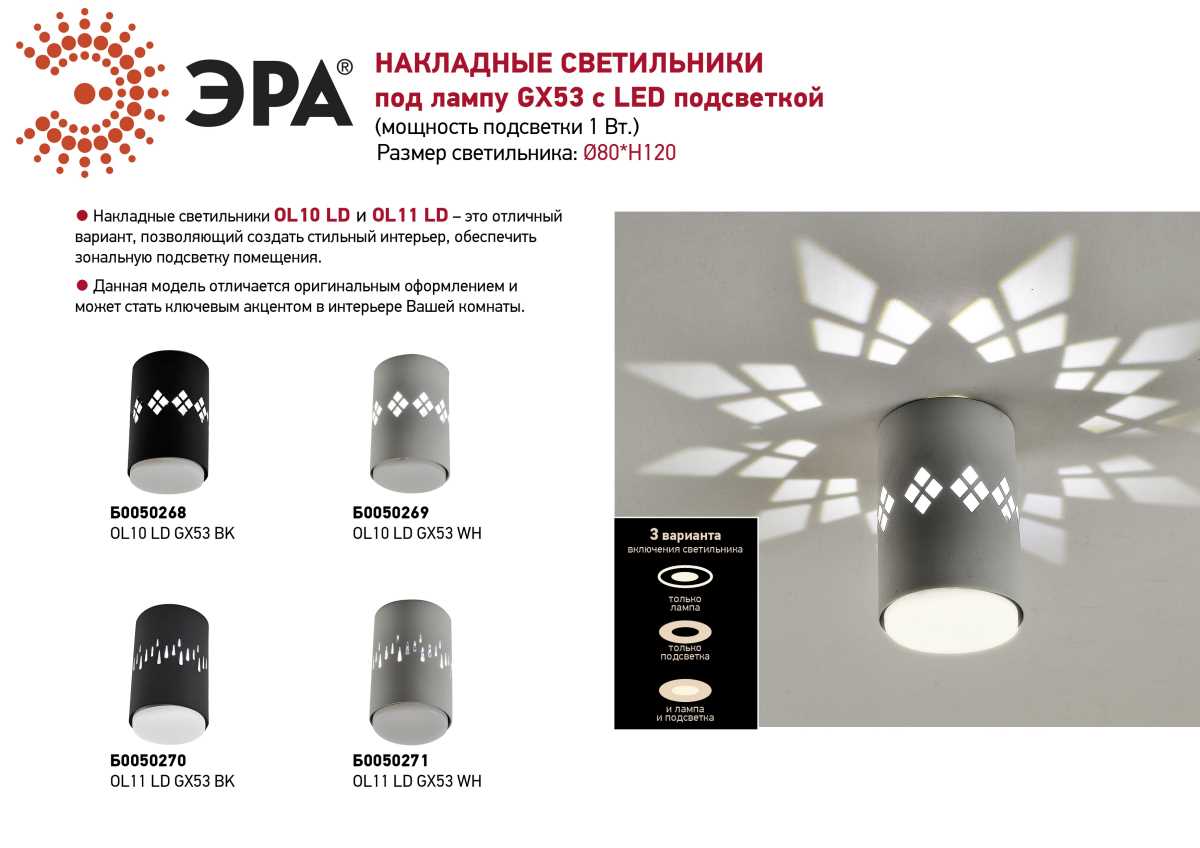 Накладной светильник ЭРА OL10 Б0050268