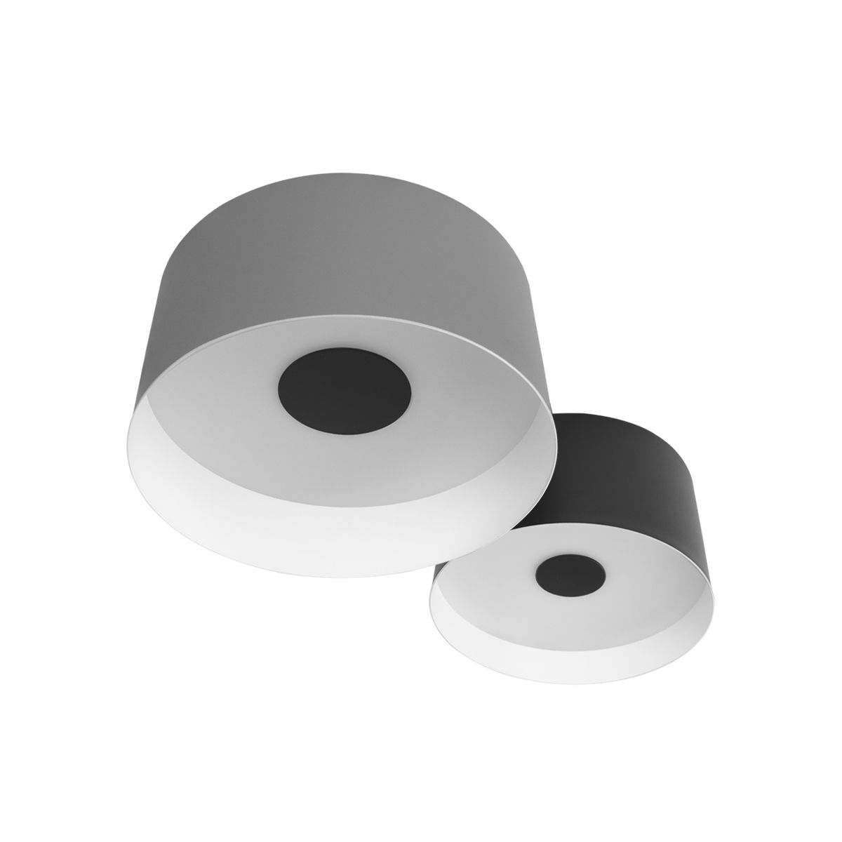 Потолочный светодиодный светильник Loft IT Duo 10360/2