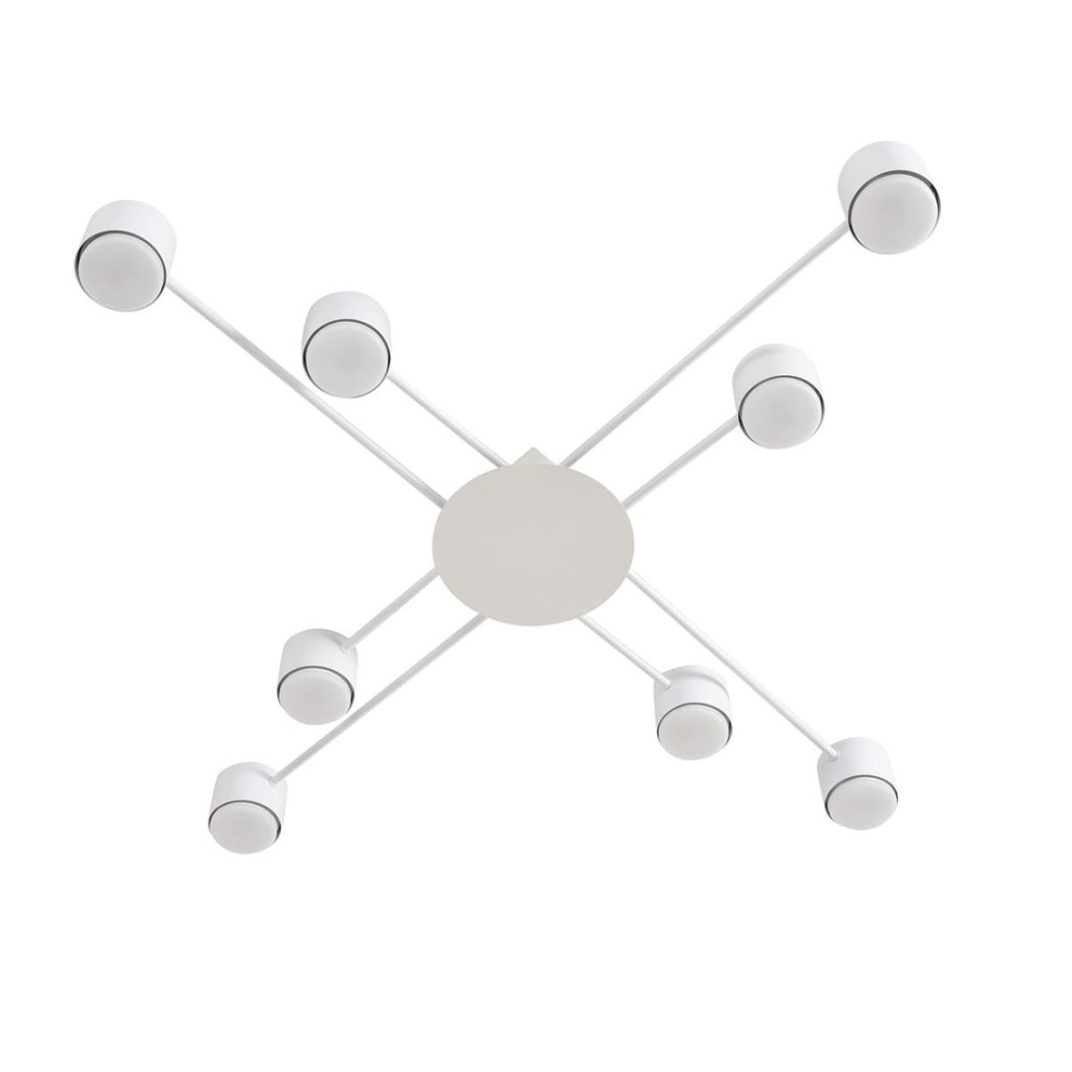 Светильник потолочный Lumion BENUA 8305/8C