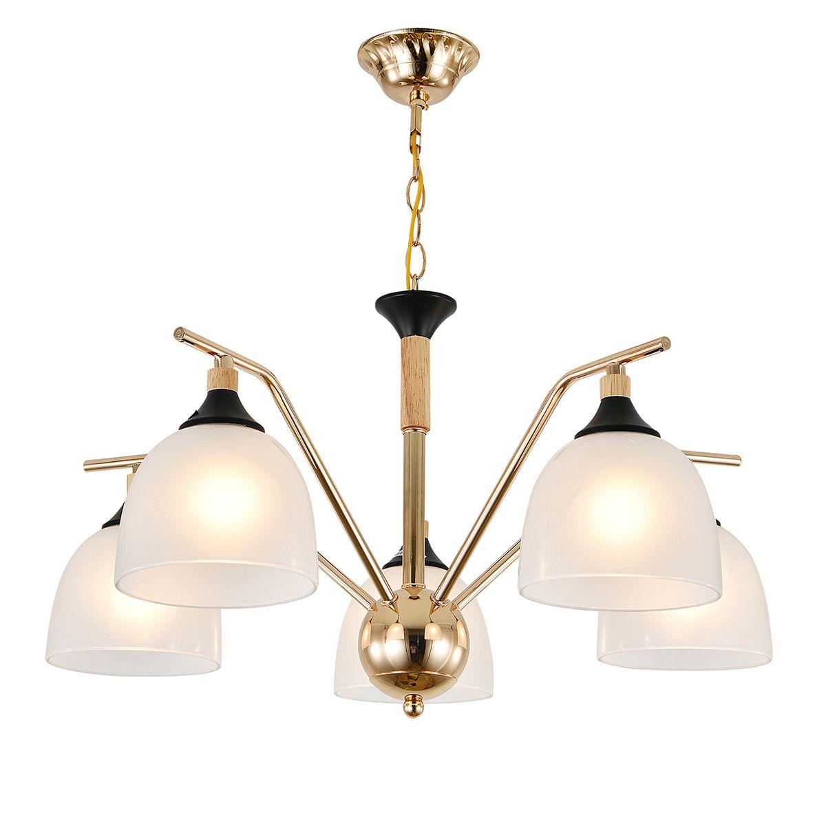 Подвесная люстра Escada Actinidia 2123/5P