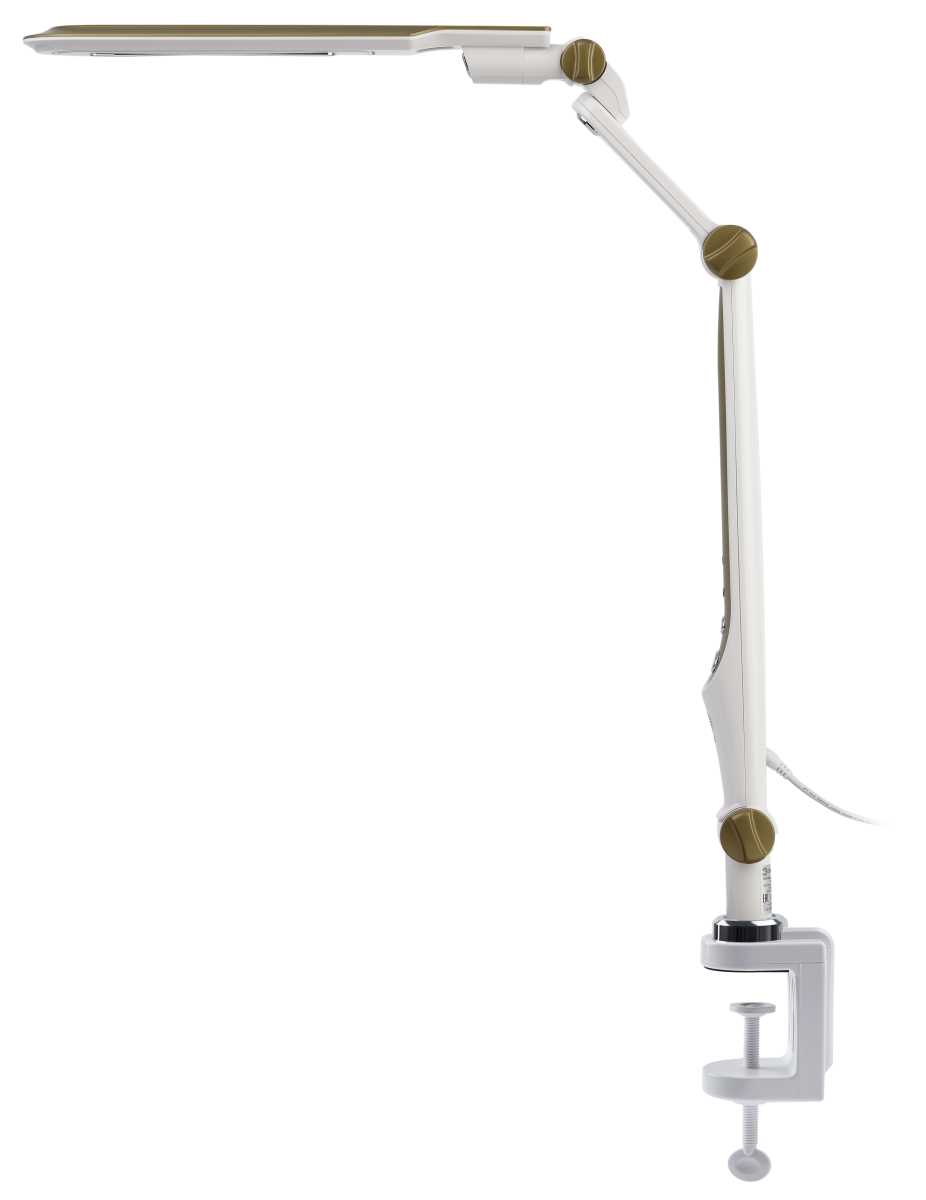 Настольная лампа ЭРА NLED-496-12W-G Б0052769