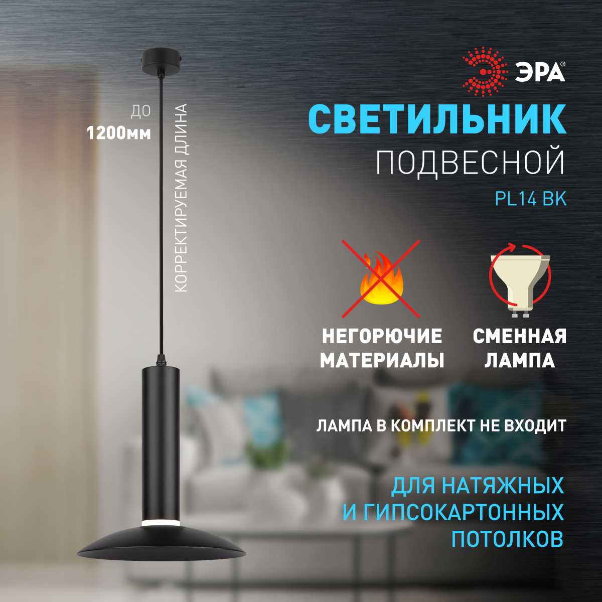 Подвесной светильник ЭРА PL14 BK Б0061363