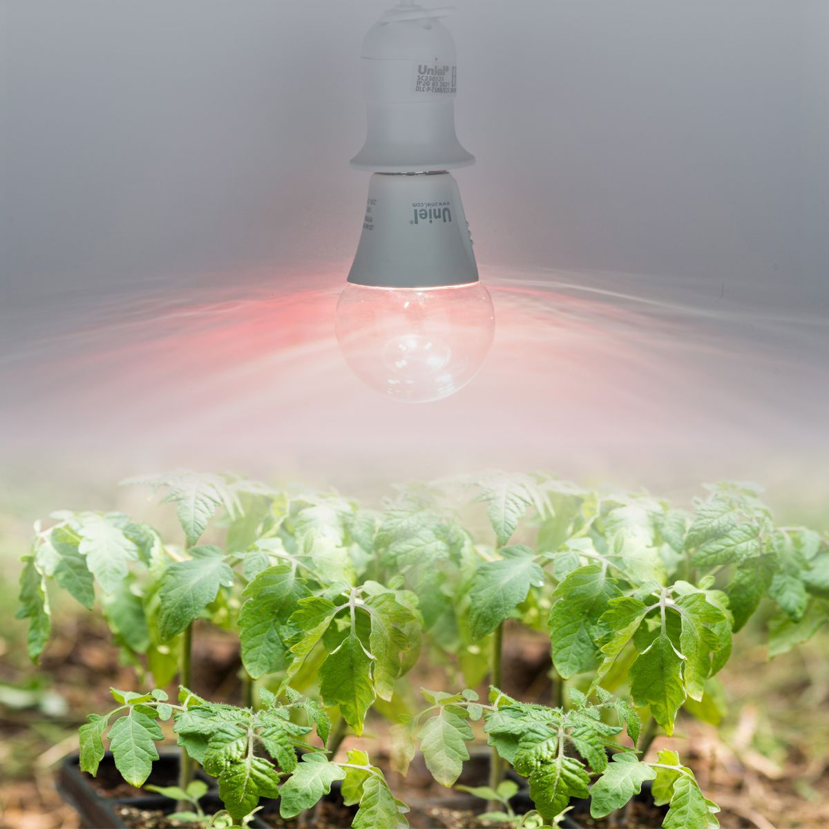 Лампа светодиодная Uniel E27 10W прозрачная LED-A60-10W/SPM3/E27/CL PLP35WH Multiplant UL-00011438