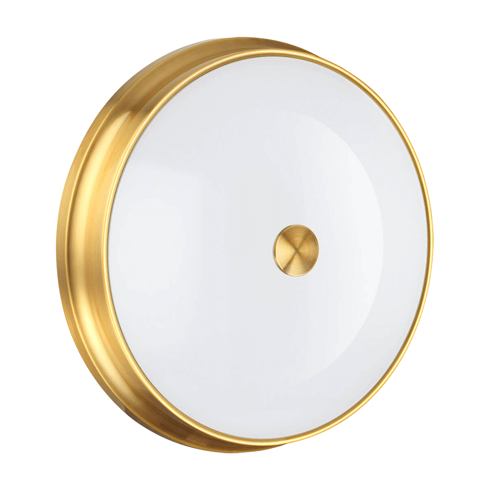 Настенно-потолочный светильник Odeon Light Walli Marsei 4824/4C