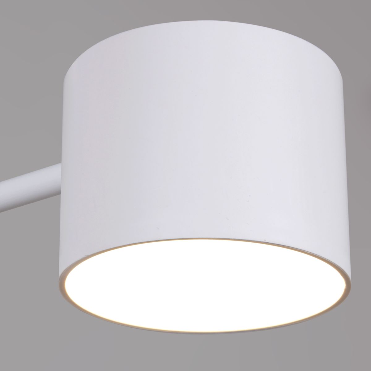 Потолочная люстра Reluce 47206-0.3-06WT