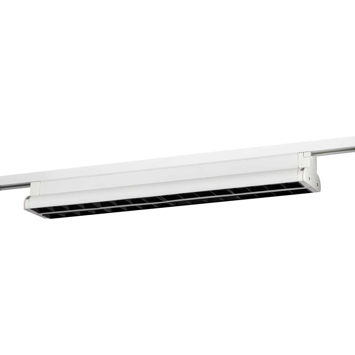 Трековый светильник однофазный ЭРА TR54-5040 WH Б0059552