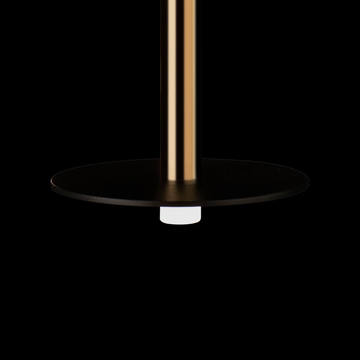 Подвесной светодиодный светильник Loft IT Reed 10358/830 Disk AB