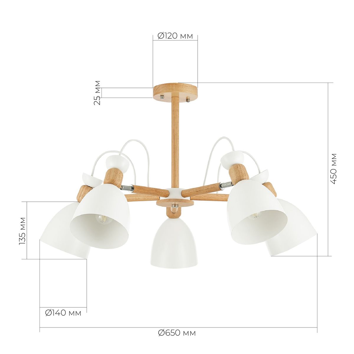 Потолочная люстра Evoluce Balcamo SLE103802-05