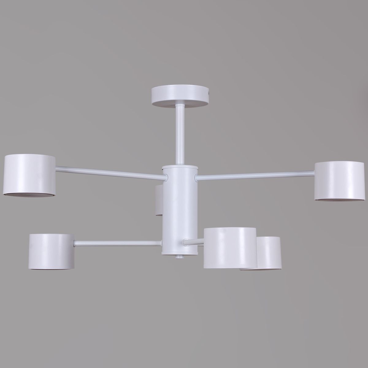 Потолочная люстра Reluce 47206-0.3-06WT