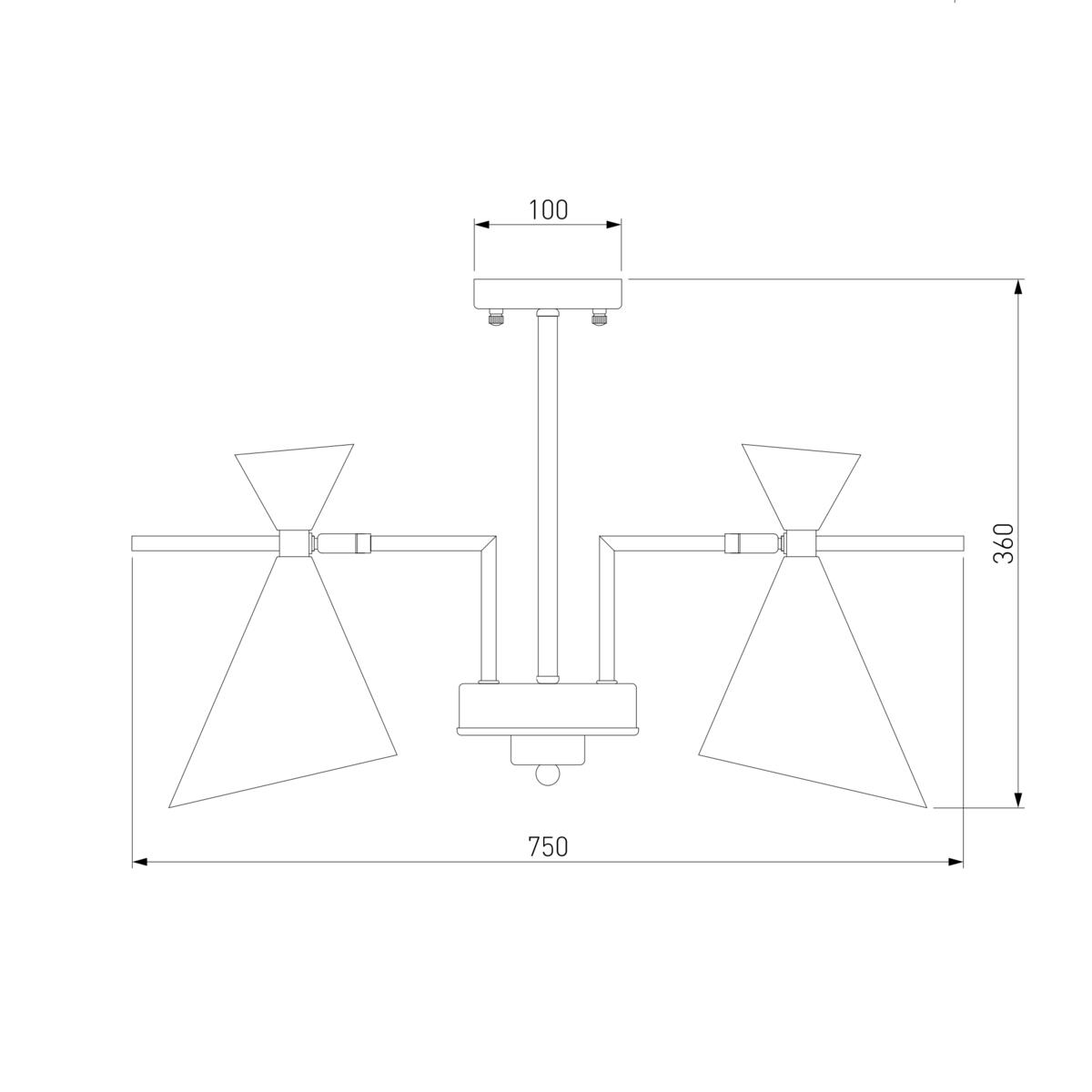 Потолочная люстра Eurosvet Apart 70114/5 белый