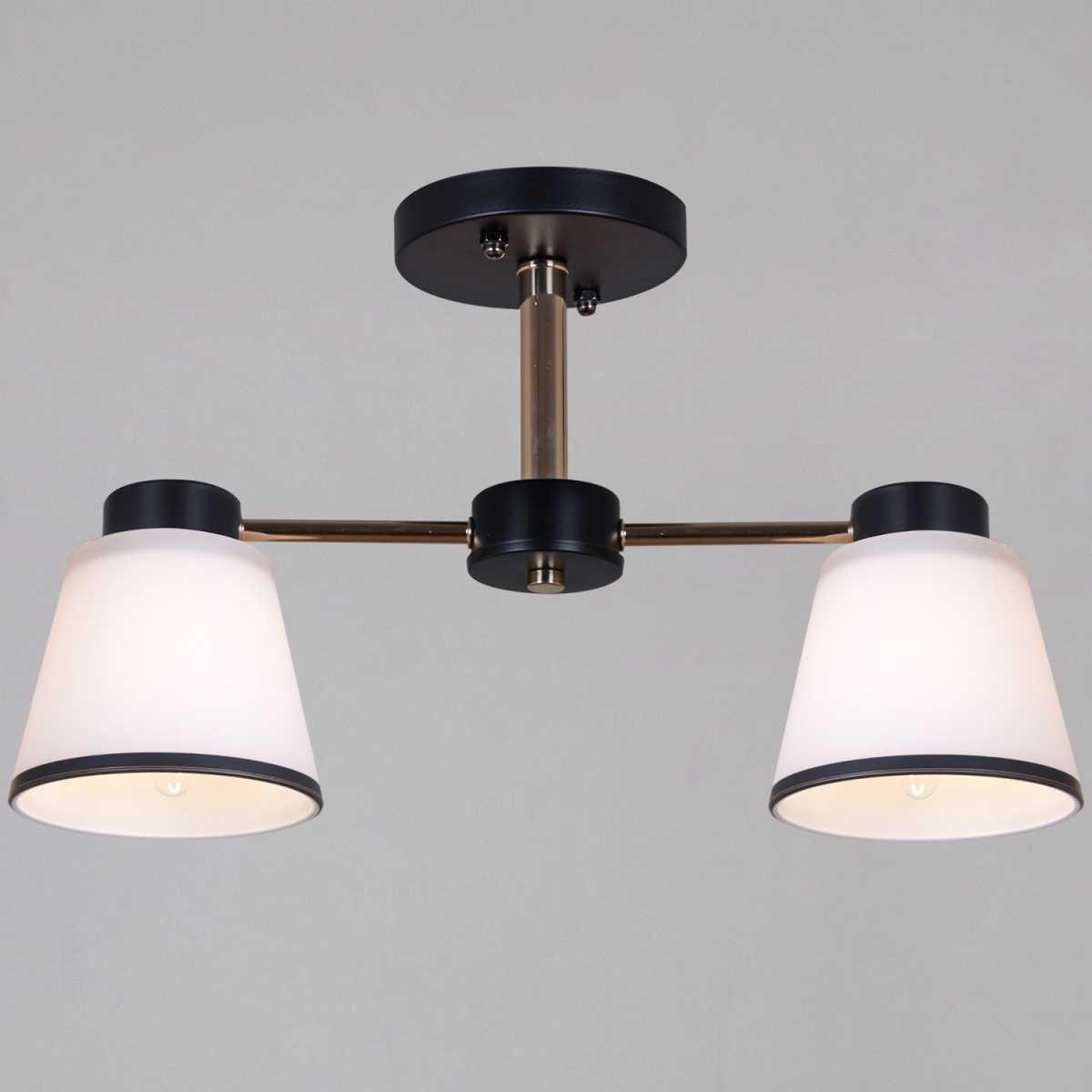 Потолочная люстра Reluce 30560-0.3-02 BK+FG