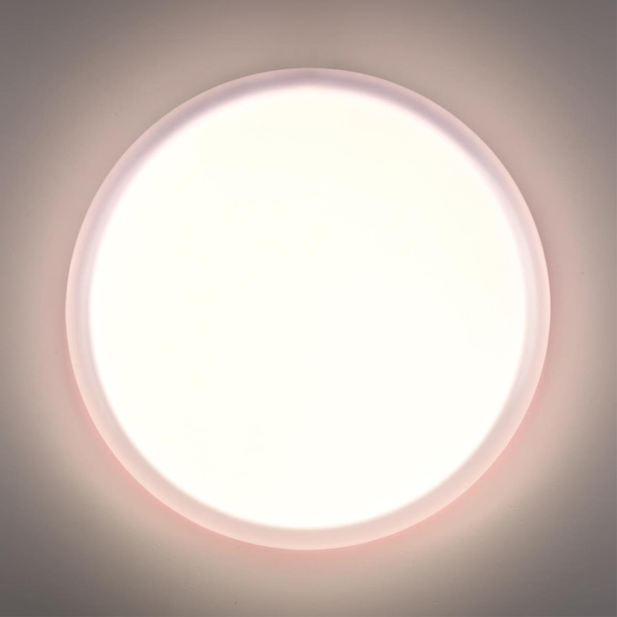 Настенно-потолочный светильник Sonex JOLLY 7776/DLN