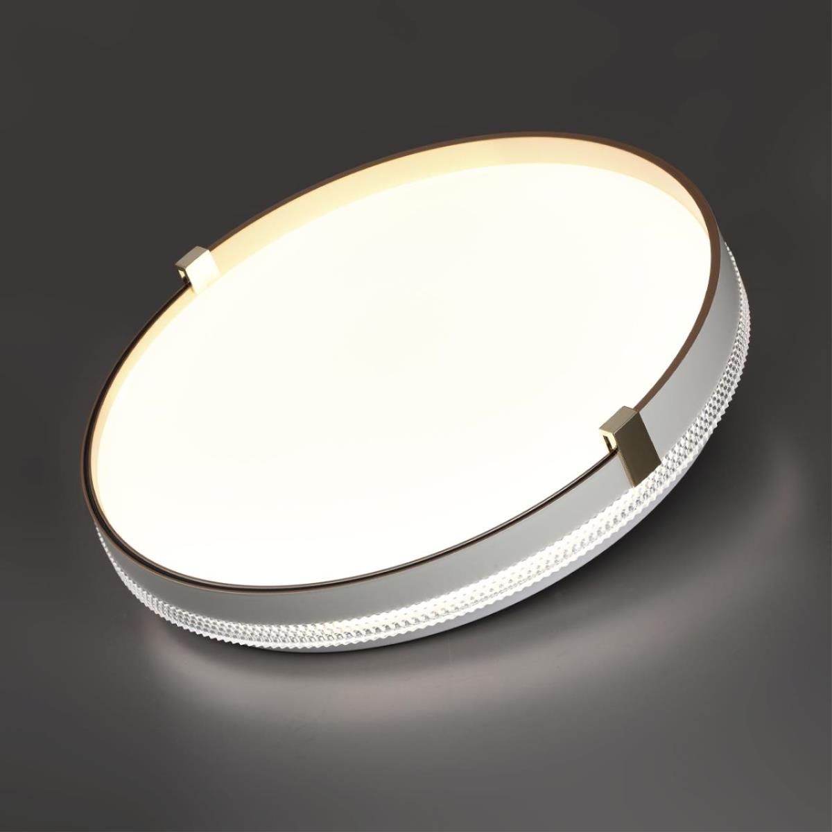 Настенно-потолочный светильник Sonex OLIDI WHITE 7646/DLN