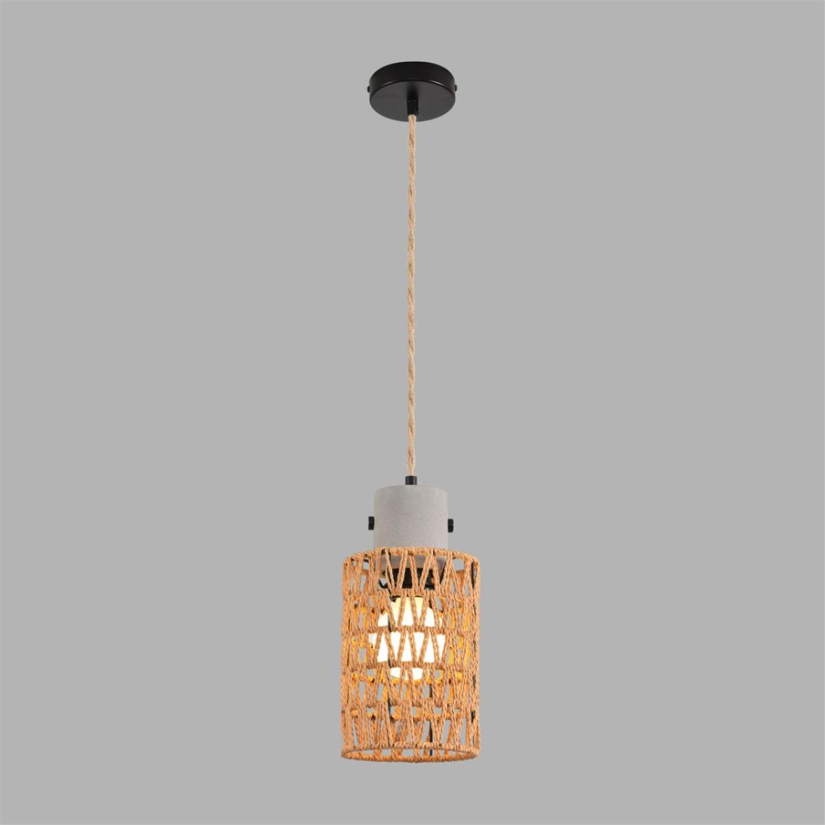 Подвесной светильник Lumion Boho Eco 8366/1A