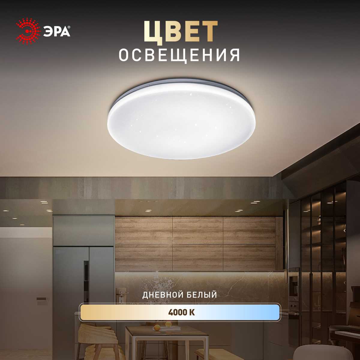 Светильник потолочный светодиодный ЭРА Классик без ДУ SPB-6 Slim Night SKY 18W-4K 4000К Б0069778