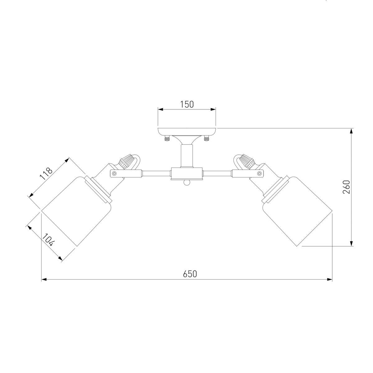 Потолочная люстра Eurosvet Astor 70111/5 черный