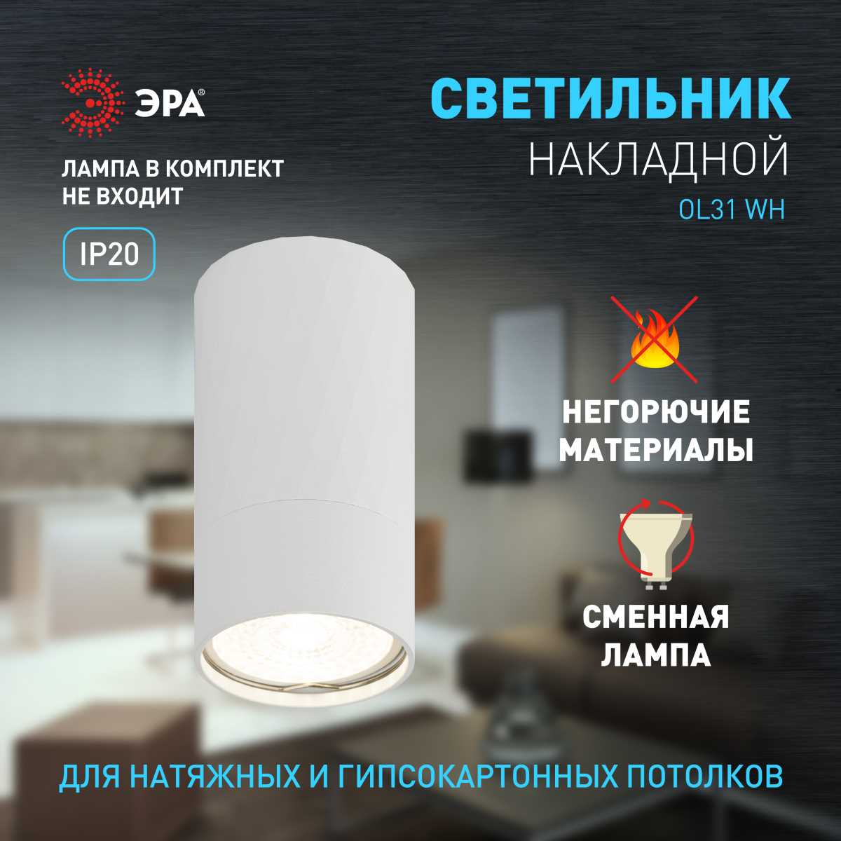 Настенно-потолочный светильник ЭРА OL31 WH Б0056375