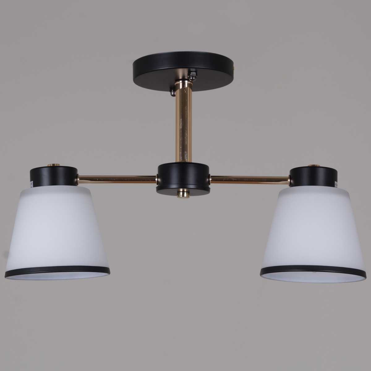 Потолочная люстра Reluce 30560-0.3-02 BK+FG