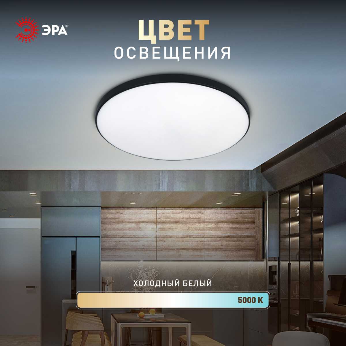 Светильник потолочный светодиодный ЭРА Классик без ДУ SPB-6 Slim Base BK 24W-5K 5000К Б0069771