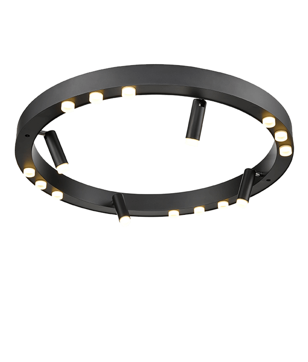 Потолочный светильник Vele Luce Satellite VL7172L12