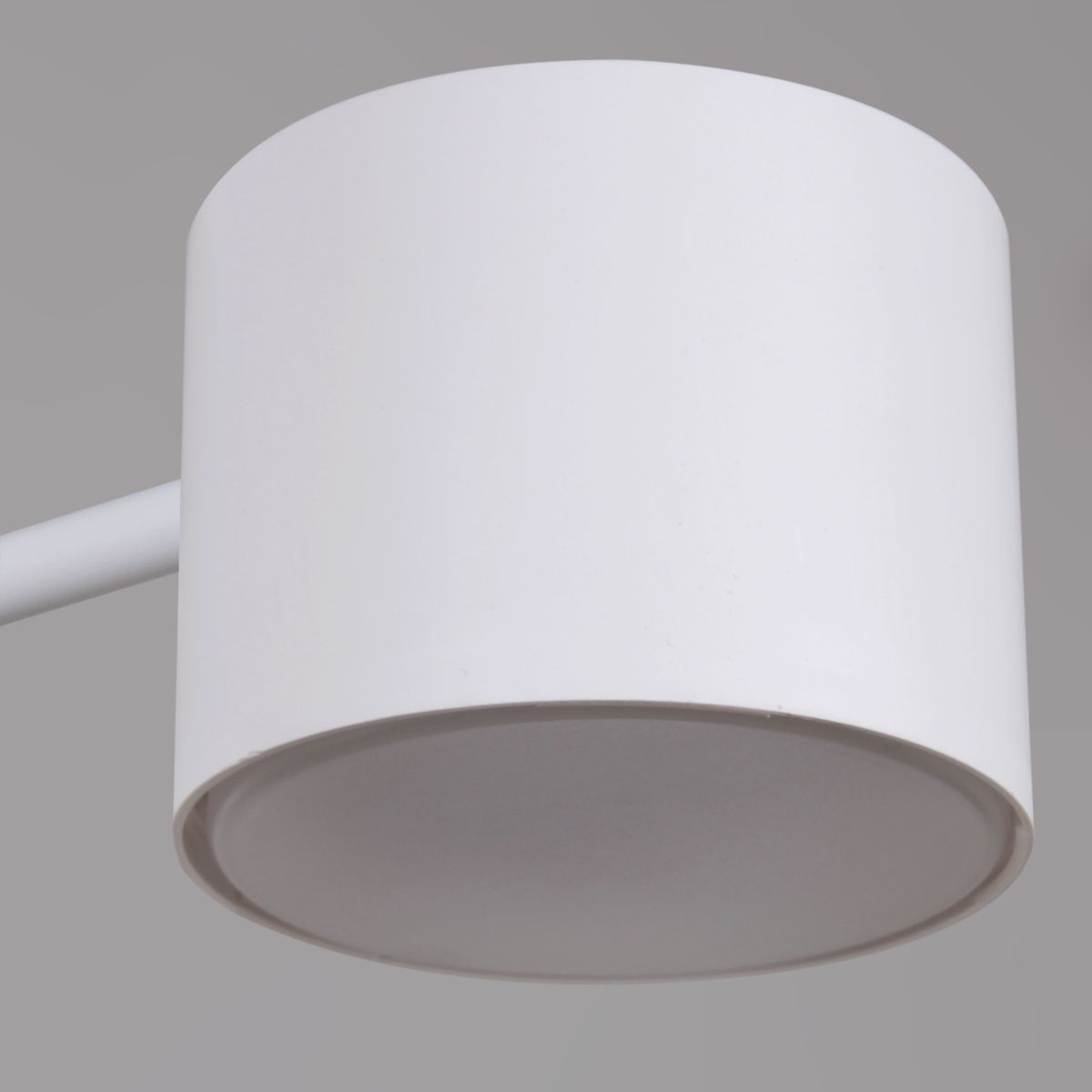 Потолочная люстра Reluce 47206-0.3-06WT