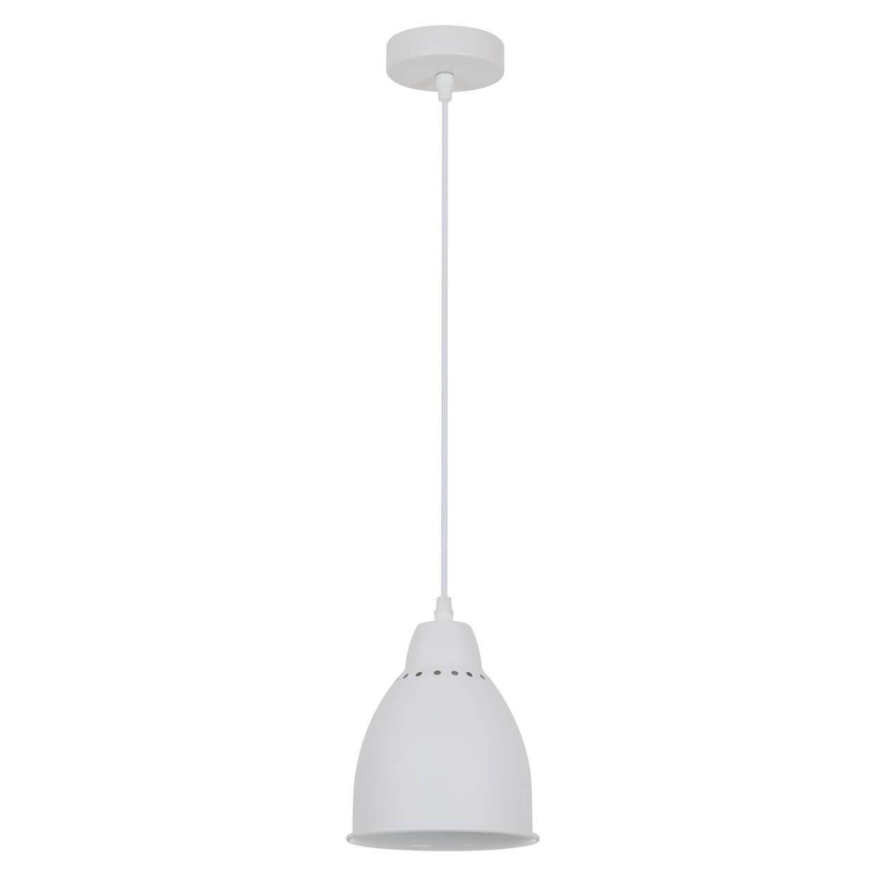 Подвесной светильник Arte Lamp Braccio A2054SP-1WH