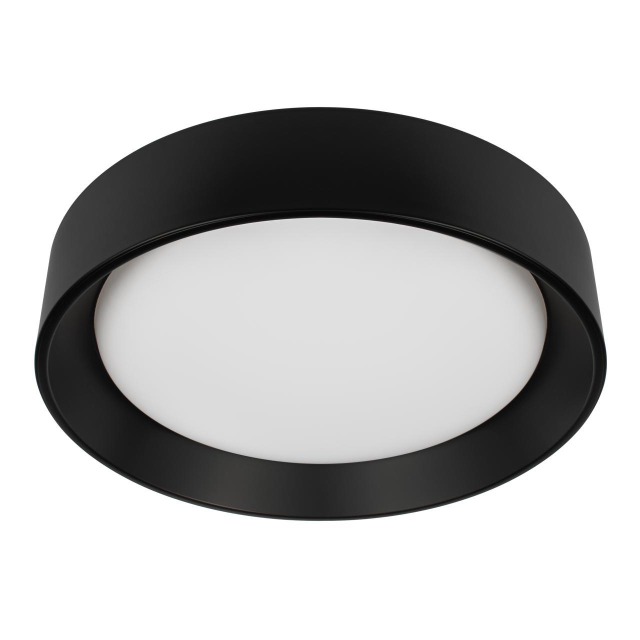 Потолочный светильник Loft it Coin 10202 BB