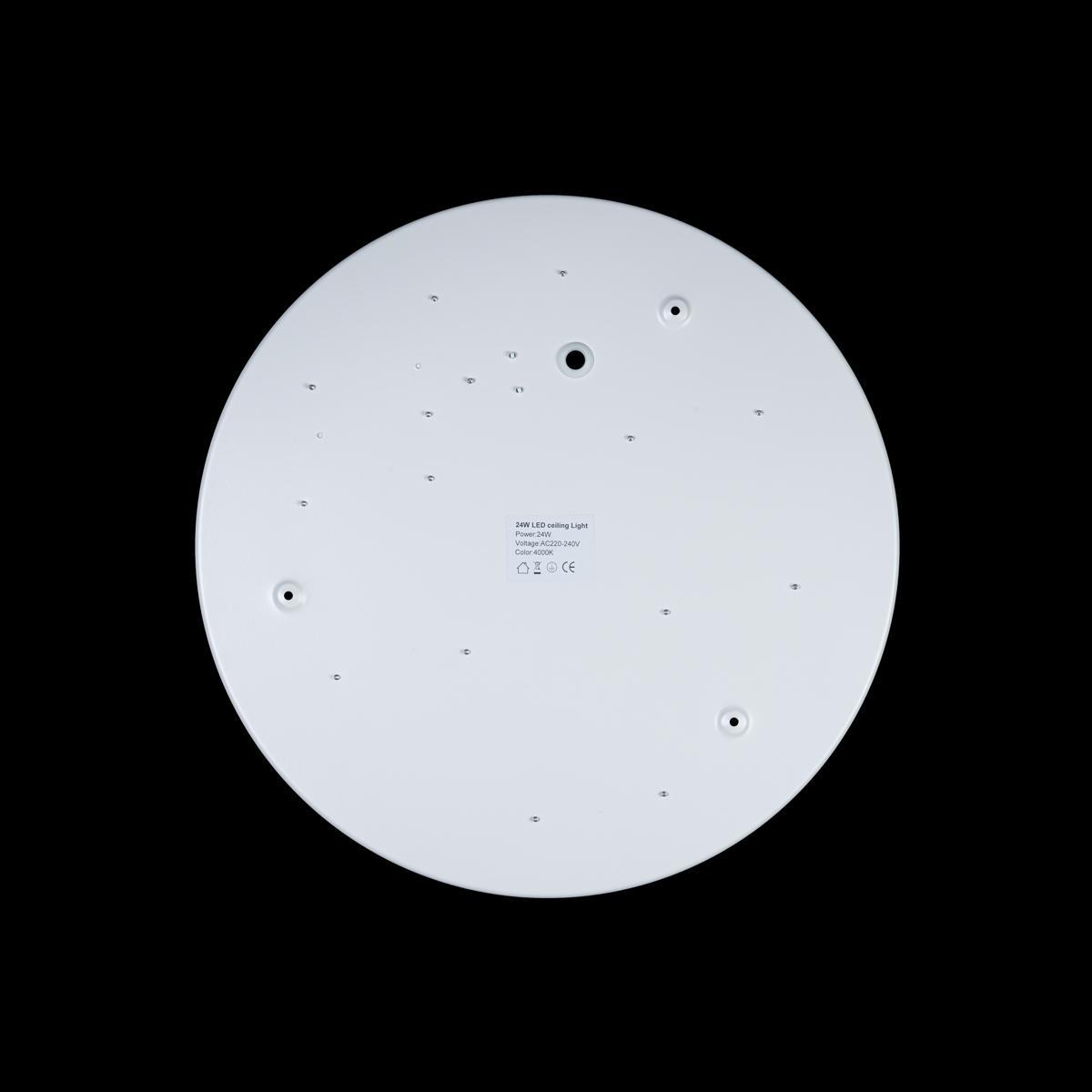 Потолочный светодиодный светильник Loft IT Axel 10003/24 white