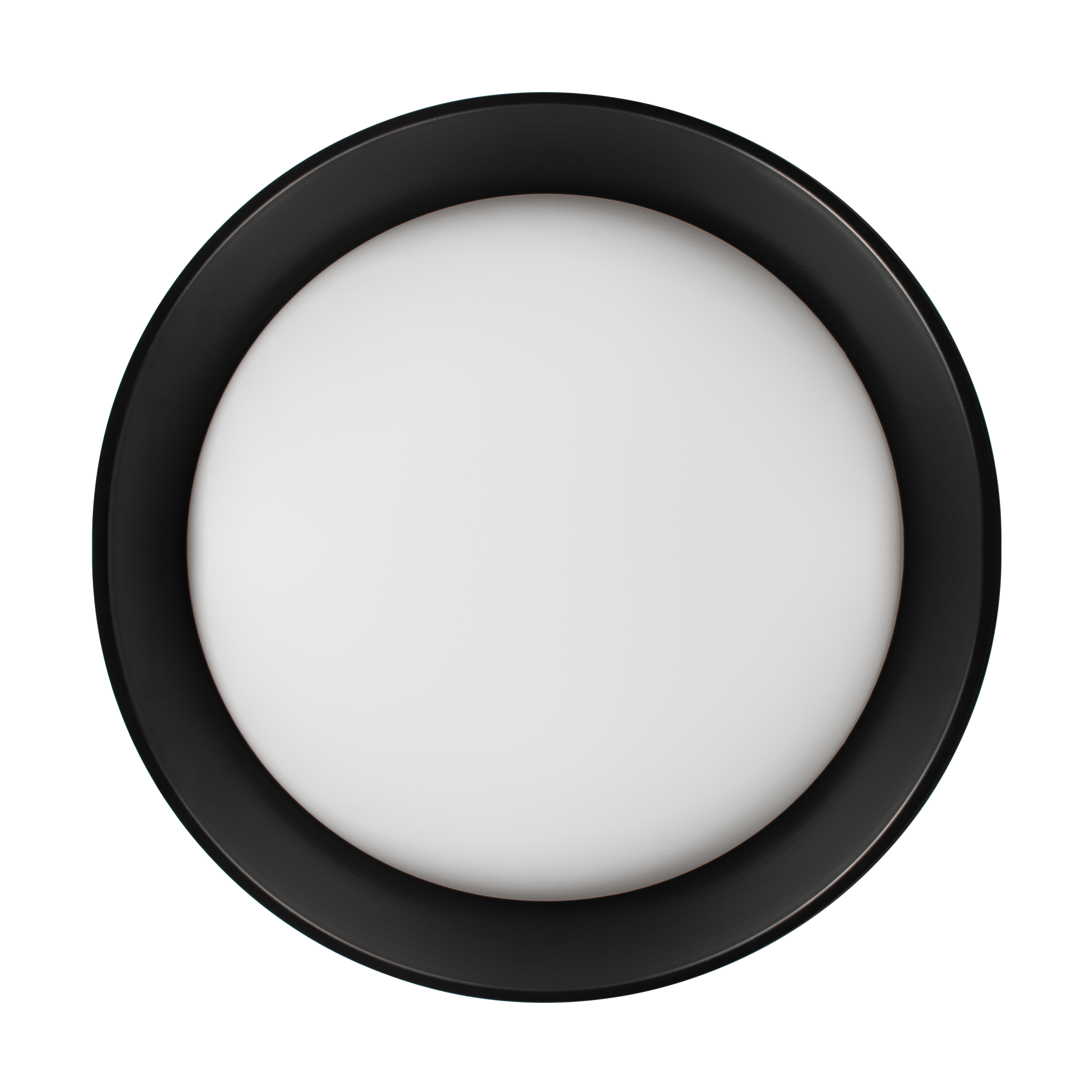 Потолочный светильник Loft it Coin 10202 BB