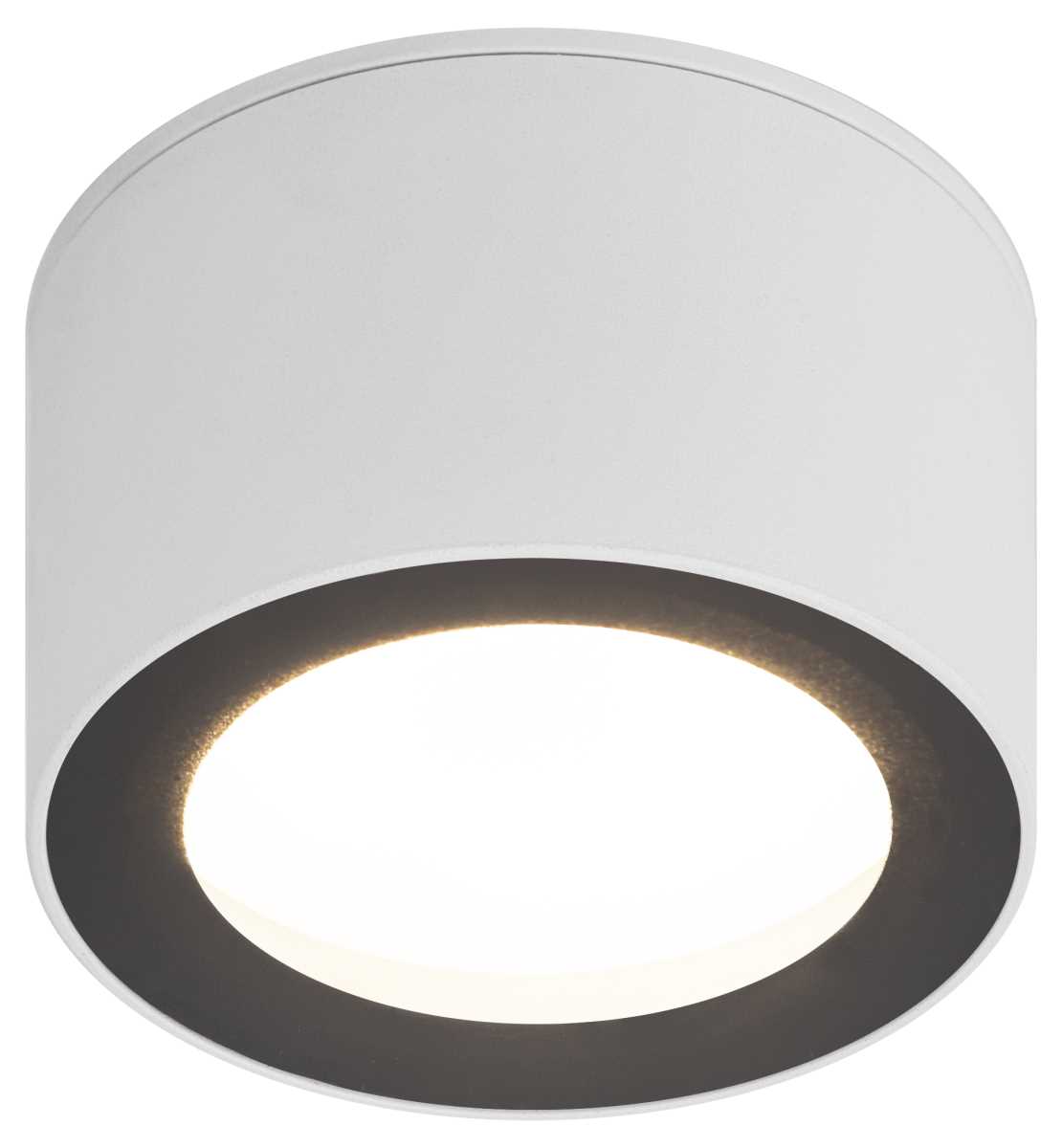Накладной светильник ЭРА OL28 WH/BK Б0055581