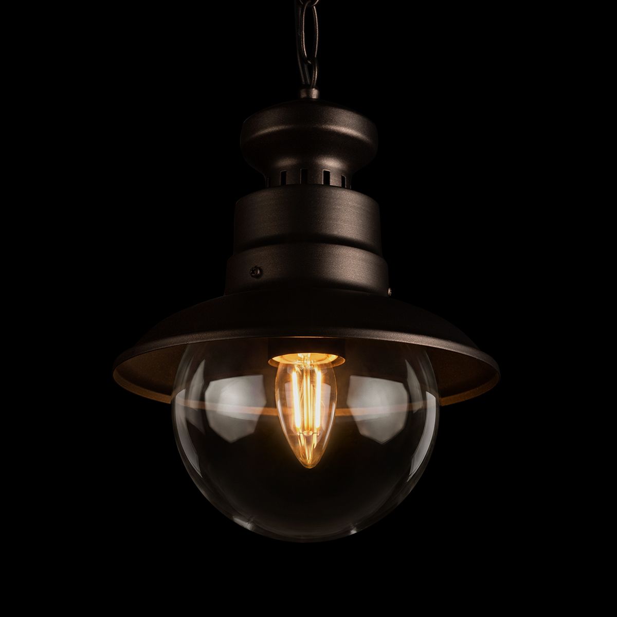 Уличный подвесной светильник Loft IT Piemonte 100022P