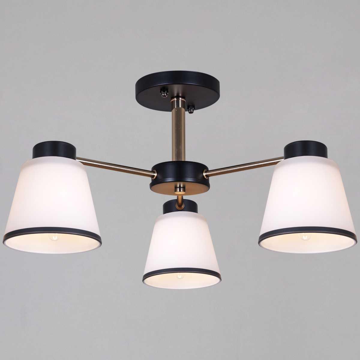 Потолочная люстра Reluce 30560-0.3-03 BK+FG