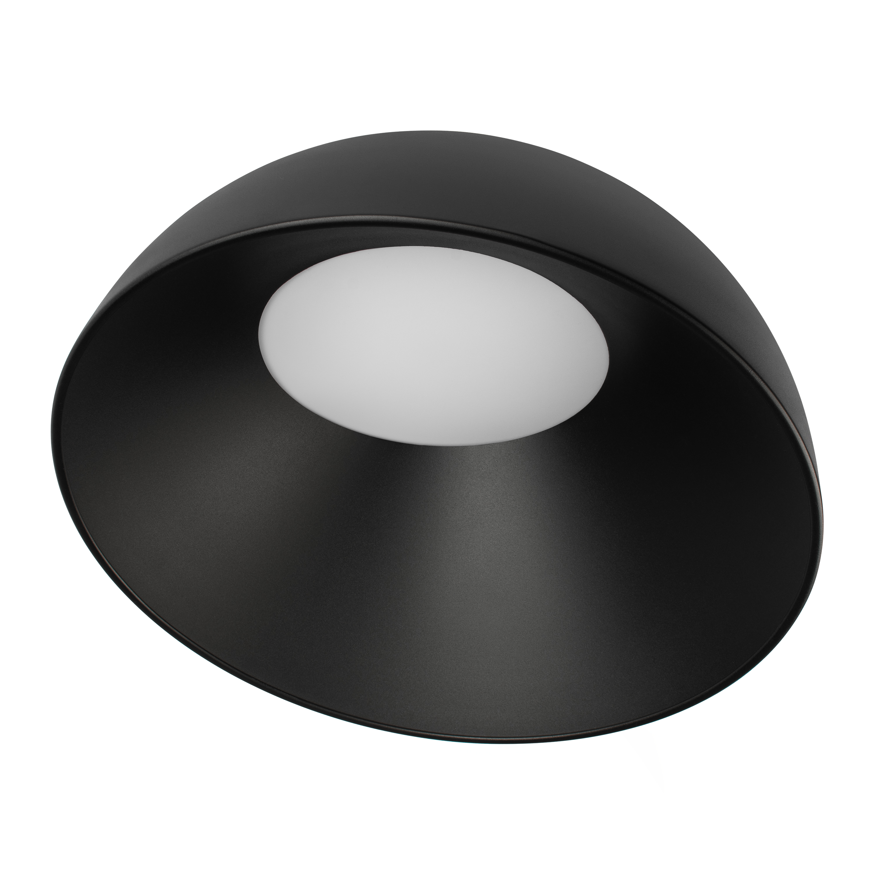 Потолочный светильник Loft it Egg 10197/500 BB