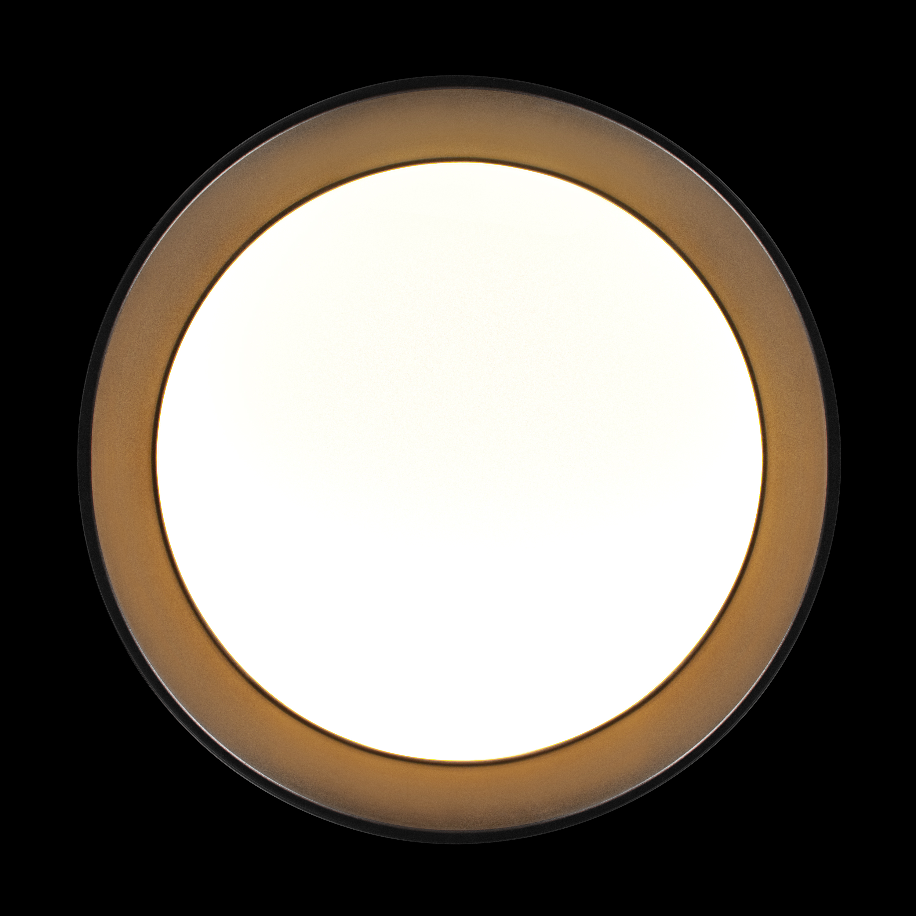 Потолочный светильник Loft it Coin 10202 BB